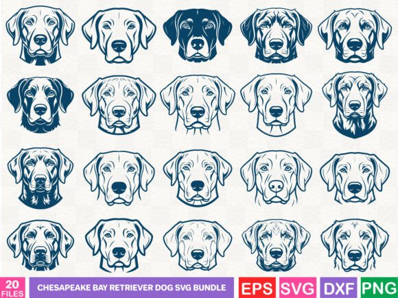 A Chesapeake Bay Retriever Graphics Bundle for Authentic Local Brands