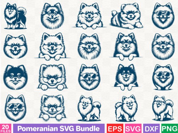Evaluating the Pomeranian SVG Bundle for Real Embroidery Projects