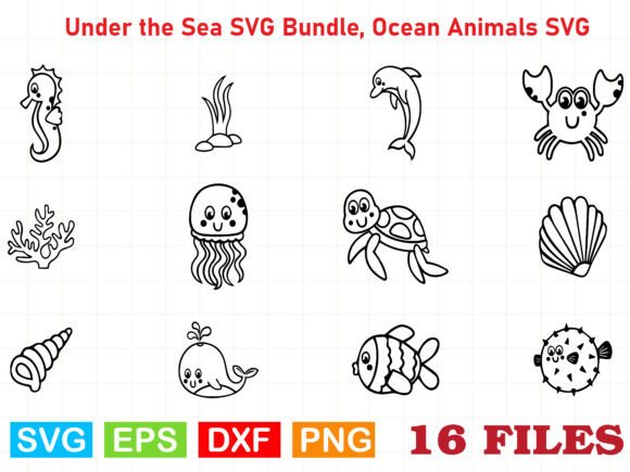 Ocean Animal Graphics for Brand and Content Illustrations